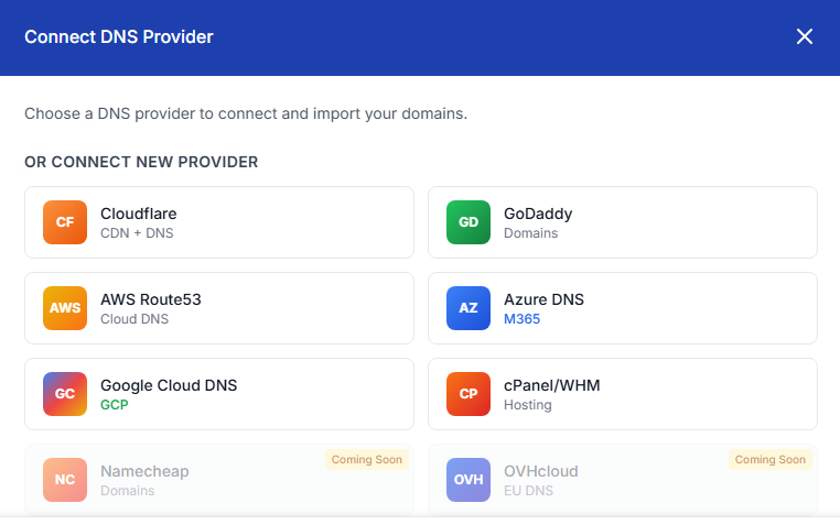 Screenshot: Domain overview showing Connect DNS Provider button